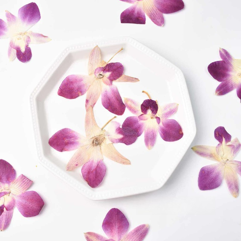 Resin Art For Photo Frame - 4 Stück, Echte Gepresste Schmetterlingsorchideen-Blüten für