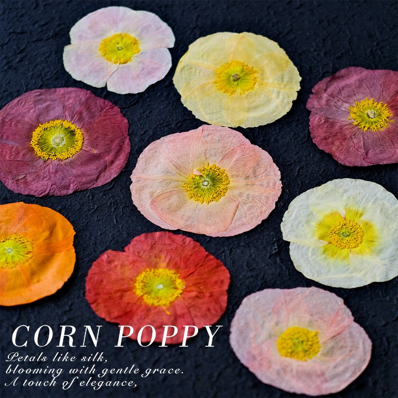 1 Stück, Natur-Mohnblumen Getr – Resin Art For Photo Frame Bewertung und Preis