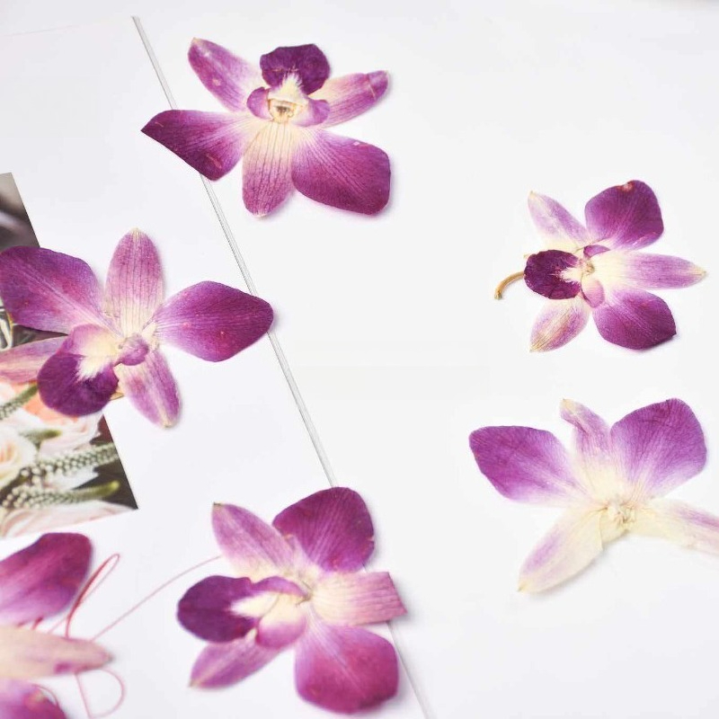 4 Stück, Echte Gepresste Schme – Resin Art For Photo Frame Bewertung und Preis