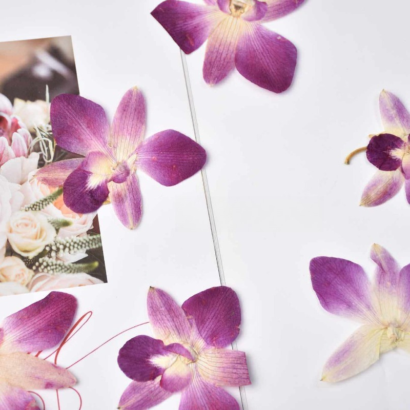 4 Stück, Echte Gepresste Schme – Resin Art For Photo Frame Bewertung und Preis