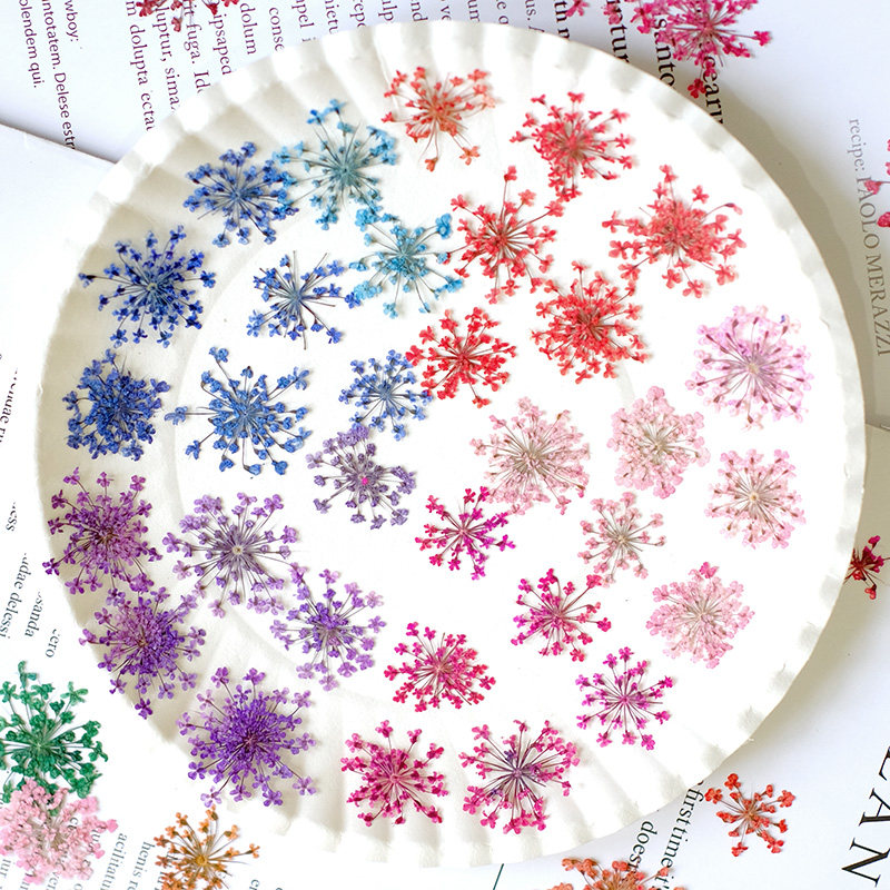 24 Stück, 2-2,5 cm, Naturgefär – Resin Art For Photo Frame Bewertung und Preis