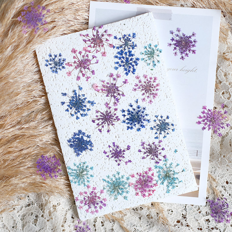 24 Stück, 2-2,5 cm, Naturgefär – Resin Art For Photo Frame Bewertung und Preis