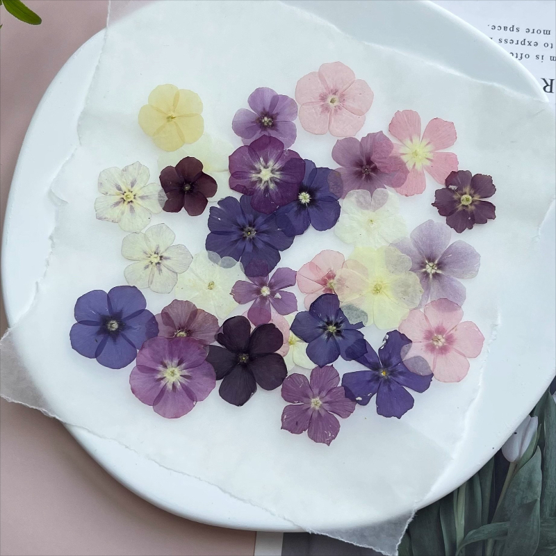 12 Stück, halbtransparente Nis – Resin Art For Photo Frame Bewertung und Preis